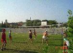 volley