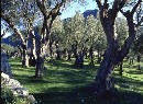 xb051101011438.jpg